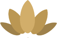 Dvir Nerya logo mark
